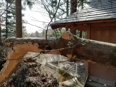 大峯不動尊の自然