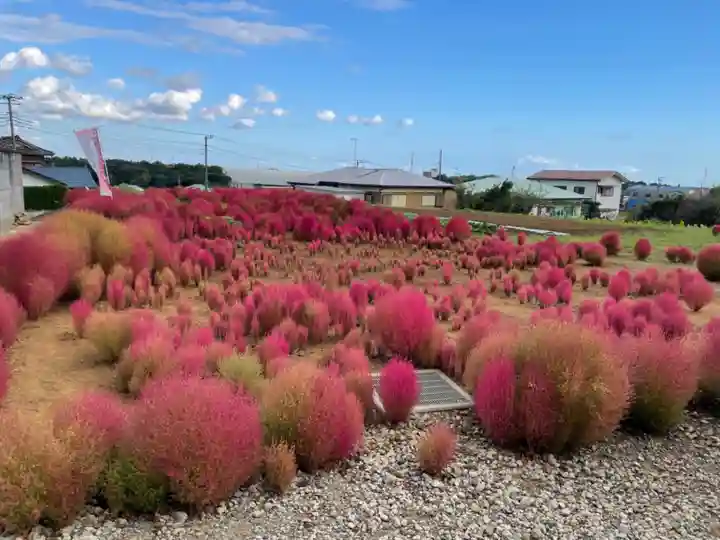 比々多神社の自然