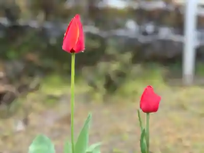 西方山極楽寺(岐阜県)