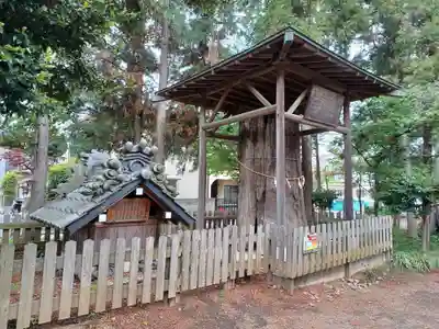 大和田氷川神社(埼玉県)