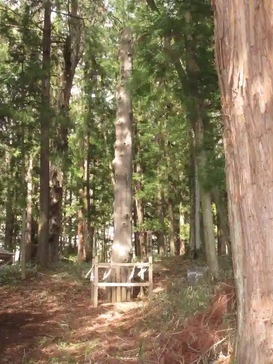 諏訪大社下社秋宮のその他建物