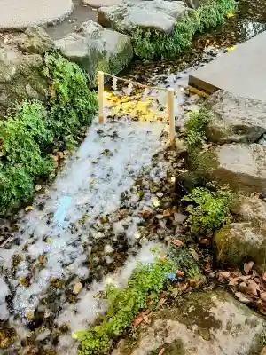 川越氷川神社の{uncategorized: "未分類", other: "その他", undefined: "問題あり", building: "その他建物", grave: "お墓", sacred_gate: "鳥居", guardian: "狛犬", statue: "像", buddha: "仏像", history: "歴史", nature: "自然", garden: "庭園", animal: "動物", pagoda: "塔", temizu: "手水舎", mountain_gate: "山門・神門", sanctuary: "本殿・本堂", subordinate: "末社・摂社", art: "芸術", scenery: "景色", jizo: "地蔵", ema: "絵馬", goshuin: "御朱印", omikuji: "おみくじ", items: "授与品その他", amulet: "お守り", goshuincho: "御朱印帳", eats: "食事", festival: "お祭り", votive_dance: "神楽", shichigosan: "七五三参", wedding: "結婚式", experience: "体験その他", initially: "初詣", around: "周辺", anti_infection: "感染症対策"}