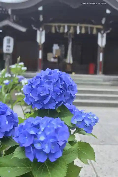 磐井神社の自然