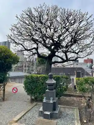 浄運寺の{uncategorized: "未分類", other: "その他", undefined: "問題あり", building: "その他建物", grave: "お墓", sacred_gate: "鳥居", guardian: "狛犬", statue: "像", buddha: "仏像", history: "歴史", nature: "自然", garden: "庭園", animal: "動物", pagoda: "塔", temizu: "手水舎", mountain_gate: "山門・神門", sanctuary: "本殿・本堂", subordinate: "末社・摂社", art: "芸術", scenery: "景色", jizo: "地蔵", ema: "絵馬", goshuin: "御朱印", omikuji: "おみくじ", items: "授与品その他", amulet: "お守り", goshuincho: "御朱印帳", eats: "食事", festival: "お祭り", votive_dance: "神楽", shichigosan: "七五三参", wedding: "結婚式", experience: "体験その他", initially: "初詣", around: "周辺", anti_infection: "感染症対策"}