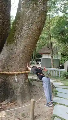 伊弉諾神宮(兵庫県)