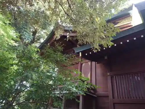 鎮守氷川神社の本殿