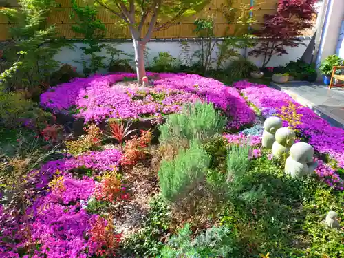 寿量山　速成寺(奈良県)