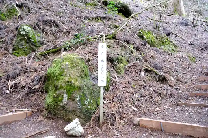 玉置神社の自然