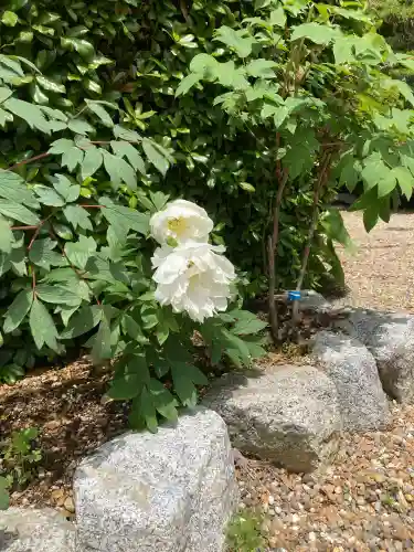 船宿寺(奈良県)