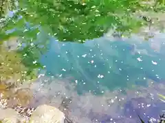 富士山本宮浅間大社の庭園