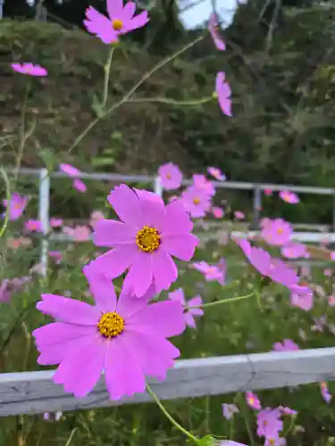 安倍文殊院 (奈良県)