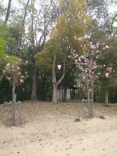 千光寺奥之院の自然