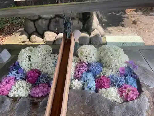 都波岐奈加等神社の手水舎