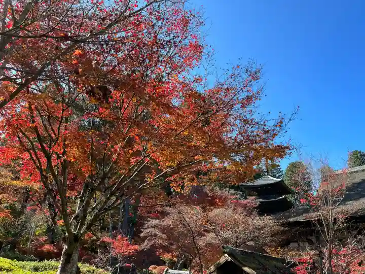 常樂寺(滋賀県)