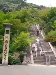 三室戸寺の建物その他