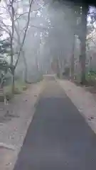 大矢田神社の建物その他