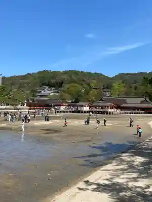 厳島神社の{uncategorized: "未分類", other: "その他", undefined: "問題あり", building: "その他建物", grave: "お墓", sacred_gate: "鳥居", guardian: "狛犬", statue: "像", buddha: "仏像", history: "歴史", nature: "自然", garden: "庭園", animal: "動物", pagoda: "塔", temizu: "手水舎", mountain_gate: "山門・神門", sanctuary: "本殿・本堂", subordinate: "末社・摂社", art: "芸術", scenery: "景色", jizo: "地蔵", ema: "絵馬", goshuin: "御朱印", omikuji: "おみくじ", items: "授与品その他", amulet: "お守り", goshuincho: "御朱印帳", eats: "食事", festival: "お祭り", votive_dance: "神楽", shichigosan: "七五三参", wedding: "結婚式", experience: "体験その他", initially: "初詣", around: "周辺", anti_infection: "感染症対策"}