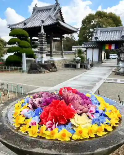 真言宗　善通寺派　薬王寺(香川県)