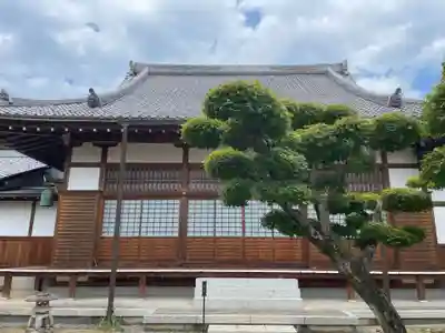 天澤院(岐阜県)