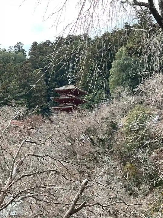 長谷寺(奈良県)