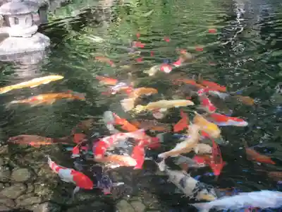 長谷寺(神奈川県)