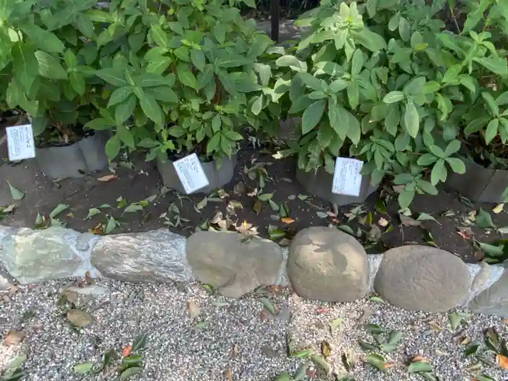 瀬戸神社の自然