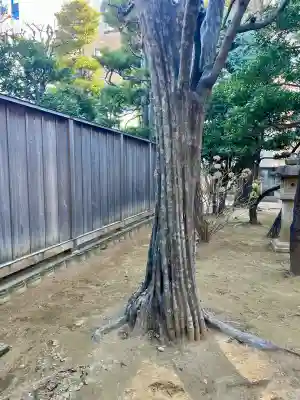 本立寺(東京都)