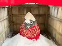 亀戸天神社の{uncategorized: "未分類", other: "その他", undefined: "問題あり", building: "その他建物", grave: "お墓", sacred_gate: "鳥居", guardian: "狛犬", statue: "像", buddha: "仏像", history: "歴史", nature: "自然", garden: "庭園", animal: "動物", pagoda: "塔", temizu: "手水舎", mountain_gate: "山門・神門", sanctuary: "本殿・本堂", subordinate: "末社・摂社", art: "芸術", scenery: "景色", jizo: "地蔵", ema: "絵馬", goshuin: "御朱印", omikuji: "おみくじ", items: "授与品その他", amulet: "お守り", goshuincho: "御朱印帳", eats: "食事", festival: "お祭り", votive_dance: "神楽", shichigosan: "七五三参", wedding: "結婚式", experience: "体験その他", initially: "初詣", around: "周辺", anti_infection: "感染症対策"}