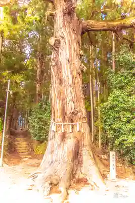 山神社(宮城県)
