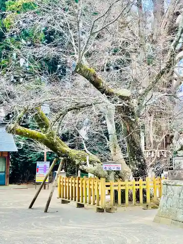 水戸八幡宮(茨城県)