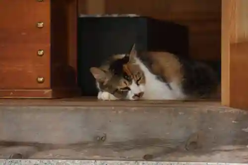 玉野御嶽神社(愛知県)