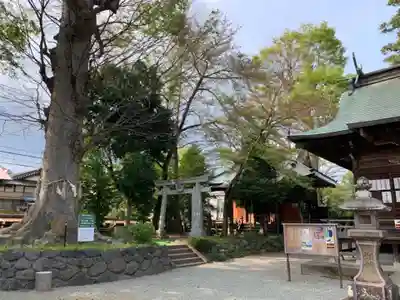 出雲大社相模分祠のその他建物