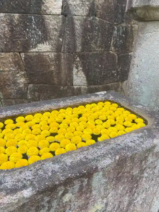 本光寺(愛知県)