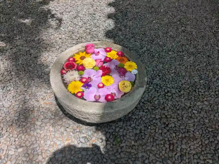 菅生神社の{uncategorized: "未分類", other: "その他", undefined: "問題あり", building: "その他建物", grave: "お墓", sacred_gate: "鳥居", guardian: "狛犬", statue: "像", buddha: "仏像", history: "歴史", nature: "自然", garden: "庭園", animal: "動物", pagoda: "塔", temizu: "手水舎", mountain_gate: "山門・神門", sanctuary: "本殿・本堂", subordinate: "末社・摂社", art: "芸術", scenery: "景色", jizo: "地蔵", ema: "絵馬", goshuin: "御朱印", omikuji: "おみくじ", items: "授与品その他", amulet: "お守り", goshuincho: "御朱印帳", eats: "食事", festival: "お祭り", votive_dance: "神楽", shichigosan: "七五三参", wedding: "結婚式", experience: "体験その他", initially: "初詣", around: "周辺", anti_infection: "感染症対策"}