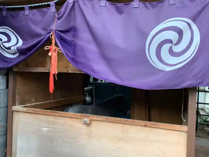 神田神社(神田明神)の動物