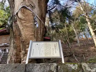 今宮神社(山梨県)