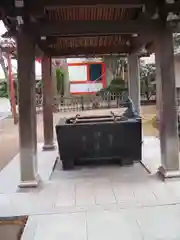 日枝神社の手水