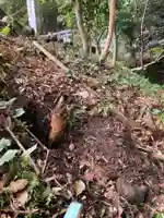 白山神社の自然