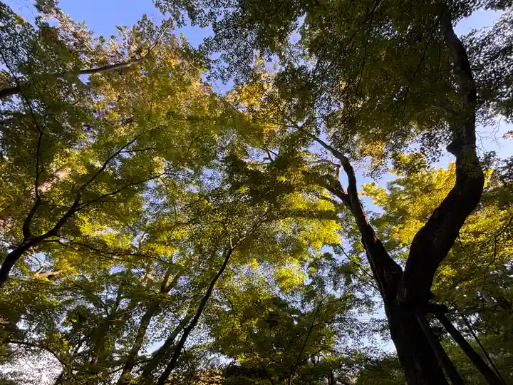 光明寺(粟生光明寺)(京都府)