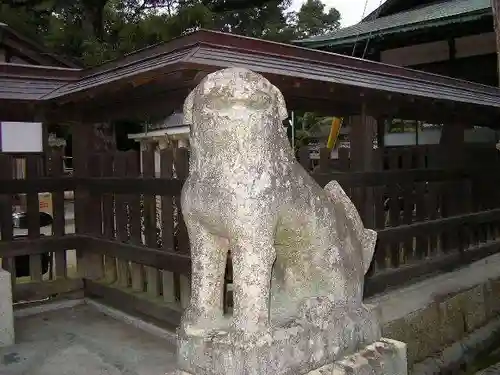 玉祖神社の狛犬