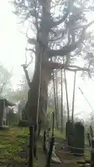 木幡山隠津島神社(二本松市)(福島県)