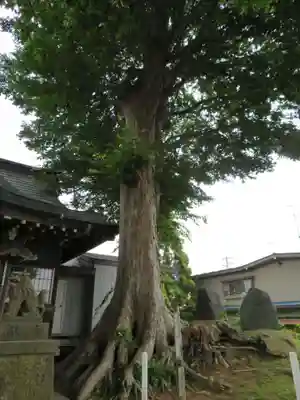 鮫八幡宮(青森県)