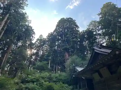 大宮温泉神社(栃木県)