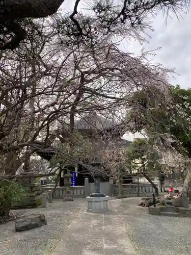 本覚寺(神奈川県)