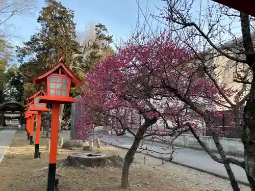 朝日森天満宮の庭園