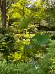 廣隆寺(京都府)