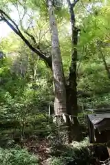 貴船神社奥宮(京都府)