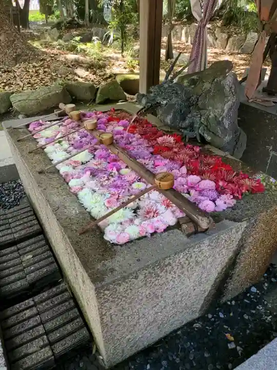 清洲山王宮 日吉神社の{uncategorized: "未分類", other: "その他", undefined: "問題あり", building: "その他建物", grave: "お墓", sacred_gate: "鳥居", guardian: "狛犬", statue: "像", buddha: "仏像", history: "歴史", nature: "自然", garden: "庭園", animal: "動物", pagoda: "塔", temizu: "手水舎", mountain_gate: "山門・神門", sanctuary: "本殿・本堂", subordinate: "末社・摂社", art: "芸術", scenery: "景色", jizo: "地蔵", ema: "絵馬", goshuin: "御朱印", omikuji: "おみくじ", items: "授与品その他", amulet: "お守り", goshuincho: "御朱印帳", eats: "食事", festival: "お祭り", votive_dance: "神楽", shichigosan: "七五三参", wedding: "結婚式", experience: "体験その他", initially: "初詣", around: "周辺", anti_infection: "感染症対策"}