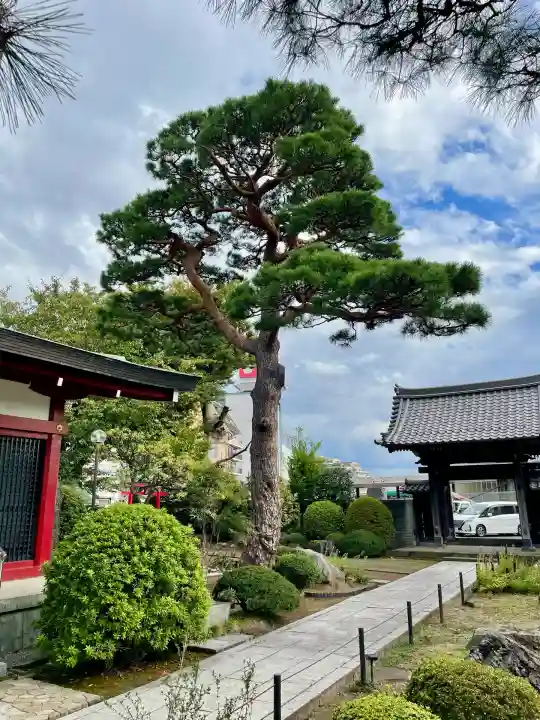 善明寺(東京都)