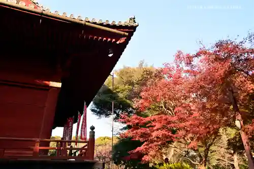 清水観音堂のその他建物